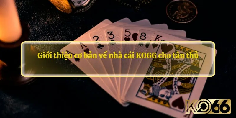 Giới thiệu cơ bản về nhà cái KO66 cho tân thủ