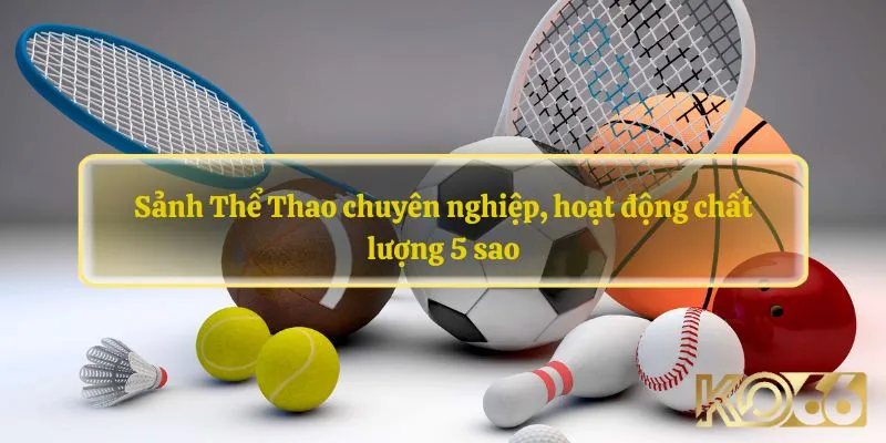 Sảnh Thể Thao chuyên nghiệp, hoạt động chất lượng 5 sao