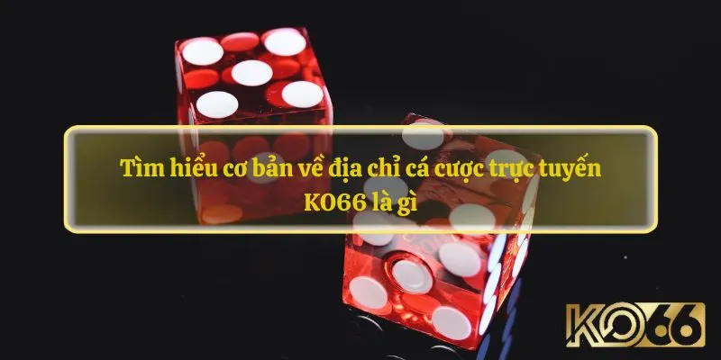 Tìm hiểu cơ bản về địa chỉ cá cược trực tuyến KO66 là gì